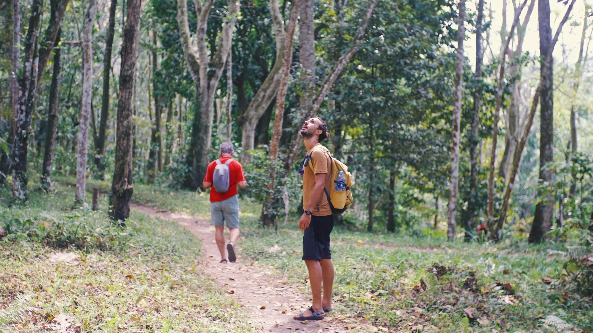 Tetebatu